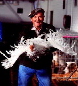 Dr Harry with sebastopol goose