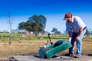 Best Water Troughs for Ducks and Geese