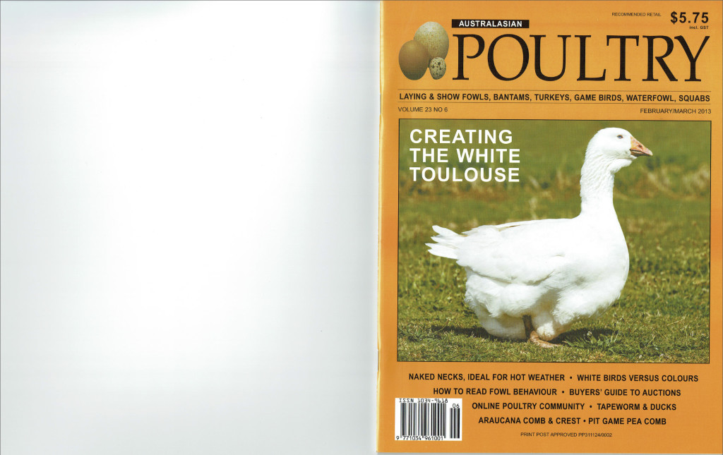 Creating Camden White Toulouse Geese